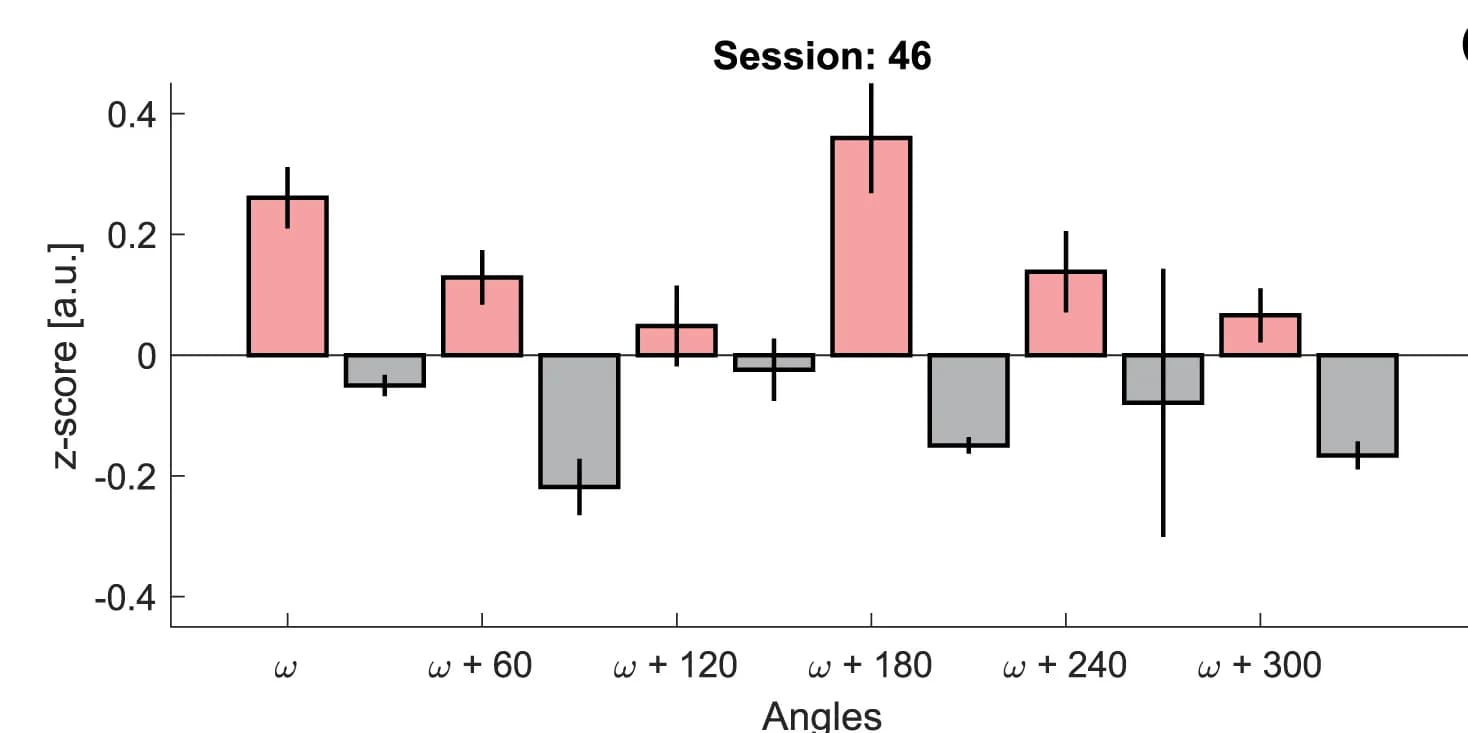 Open access visualization of Bar Plot, Error Bars, 6-Fold Periodicity, Example Session, SEM