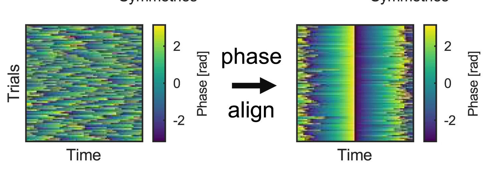Open access visualization of Heatmap, Theta Phase, Trials, LFP Channel, Theta Cycle