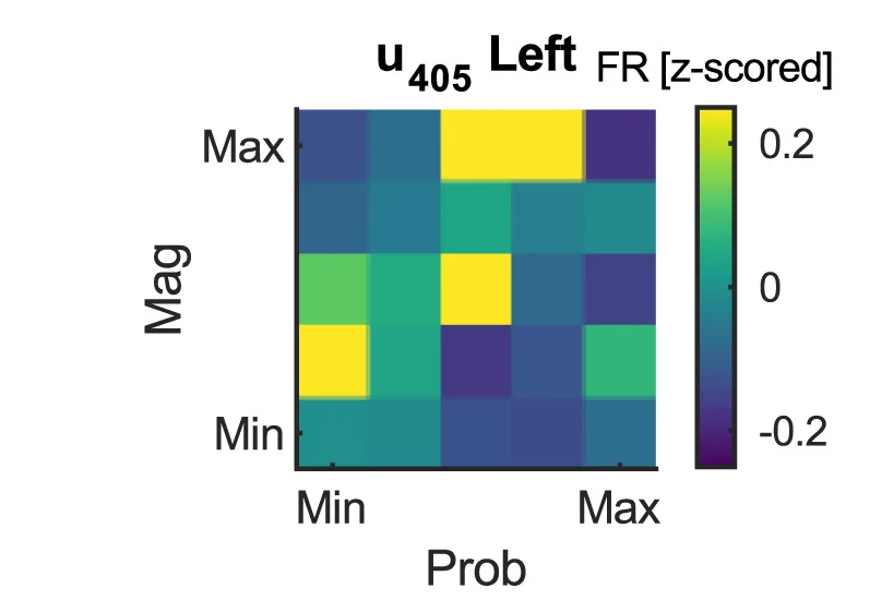 Open access visualization of Heatmap, Firing Activity, vmPFC Neuron, Grid-like Code, Reward Magnitude
