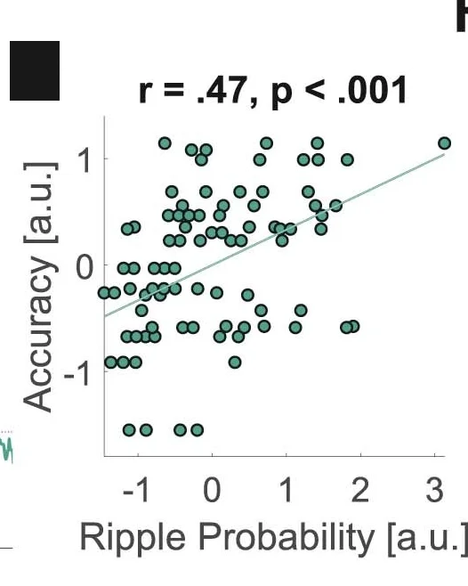 Open access visualization of Scatter Plot, Regression Plot, Correlation, vmPFC, LFP Channel