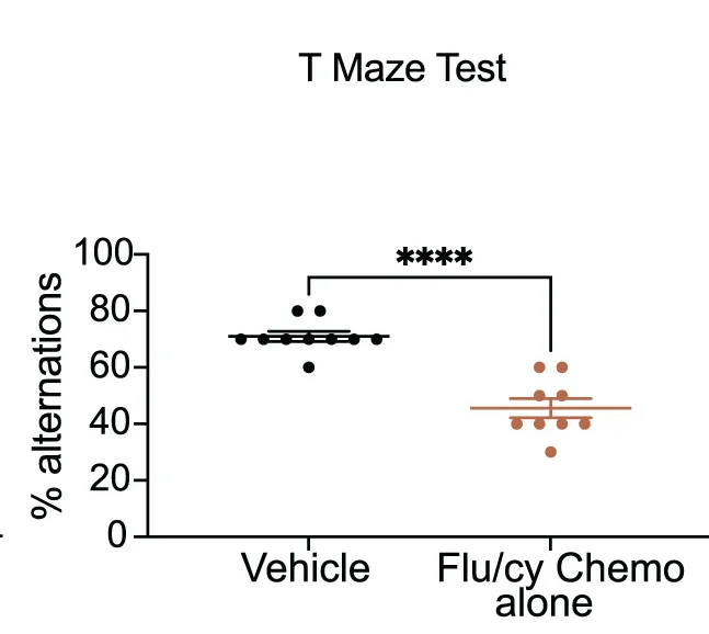 Open access visualization of Scatter Plot, Melanoma Xenograft, Vehicle, Chemotherapy, Mock T Cells