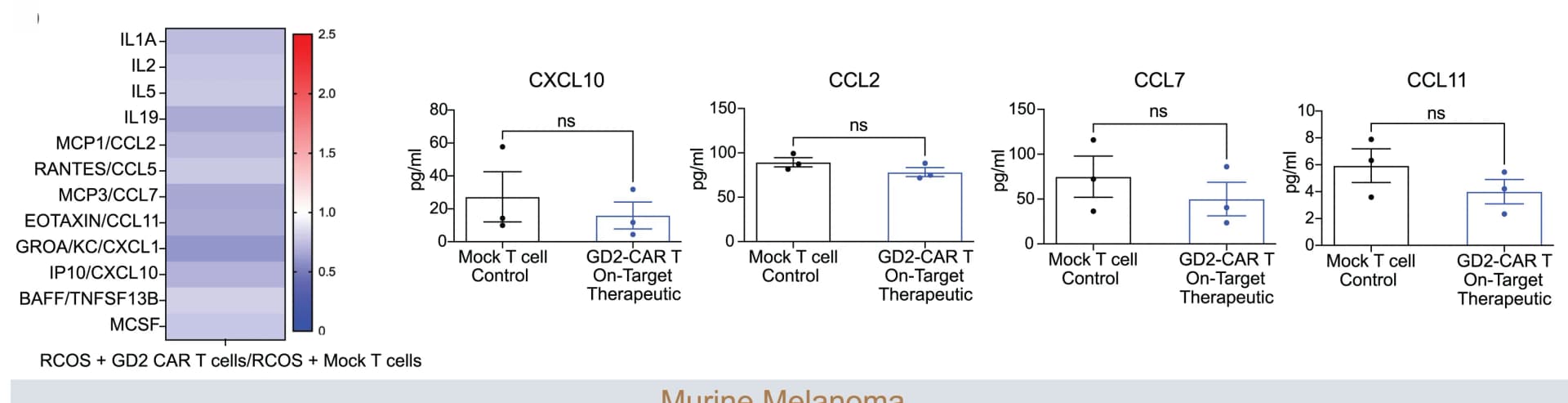 Open access visualization of Heatmap, Bar Plot, Error Bars, CSF, Cytokine