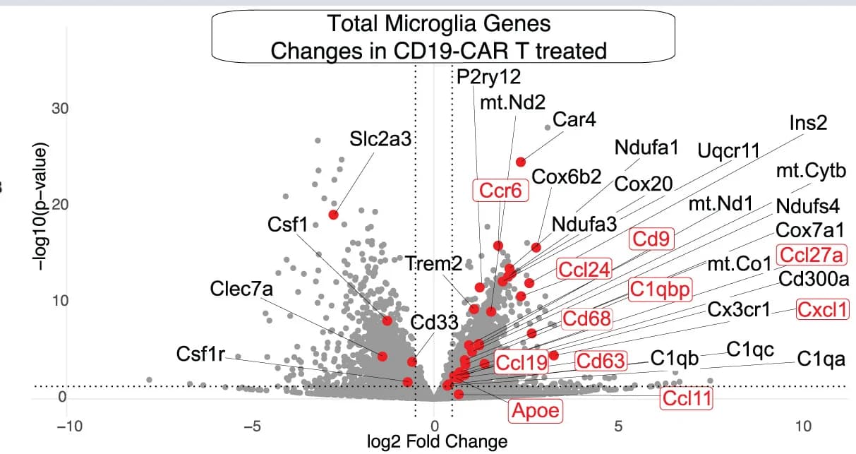Open access visualization of Volcano Plot, Scatter Plot, Microglial Genes, CD19-CAR T Cell Therapy, OS Model