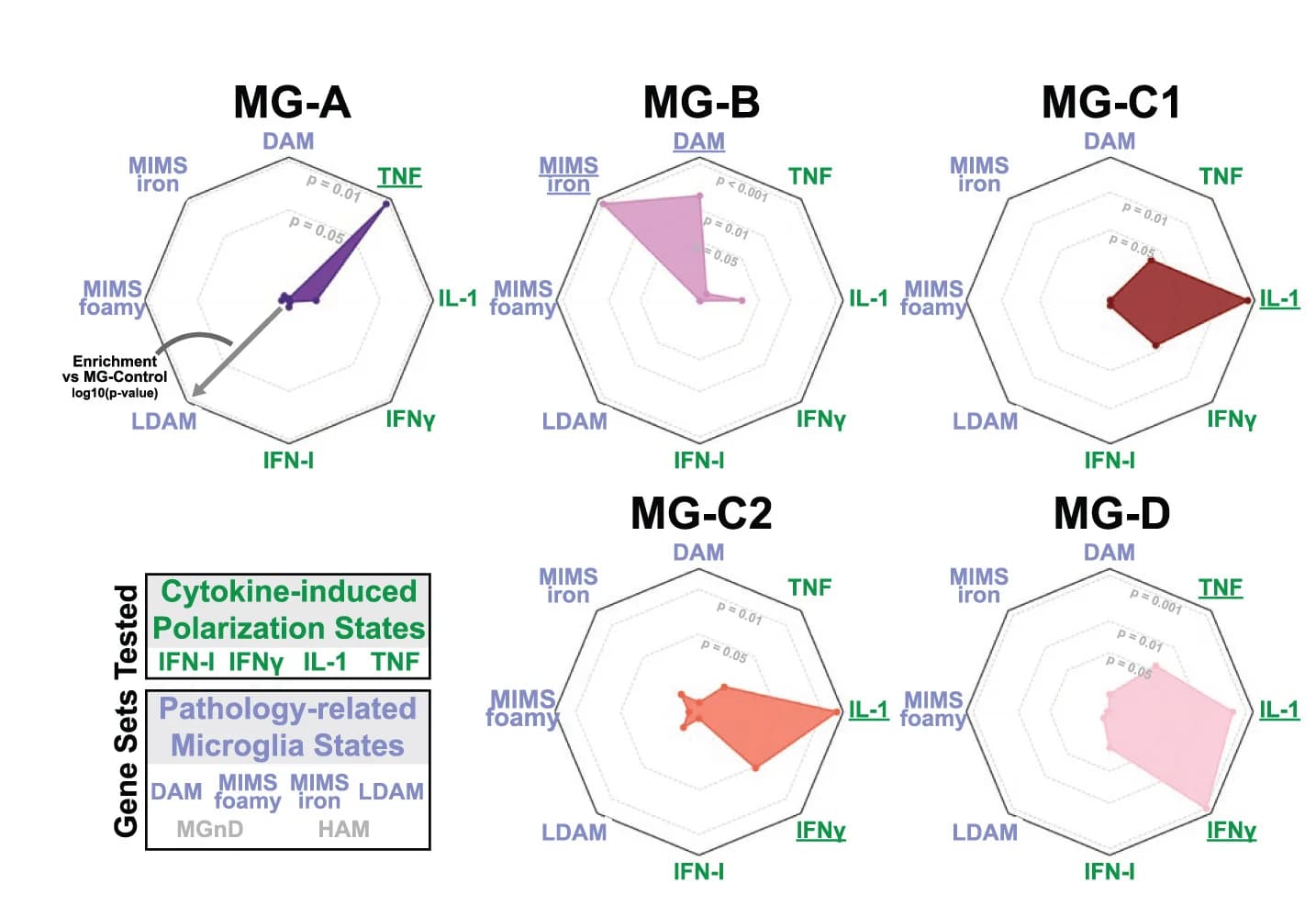 Open access visualization of Radar Chart, Radar Charts, Gene Set Enrichment Analysis, GSEA, Cytokine