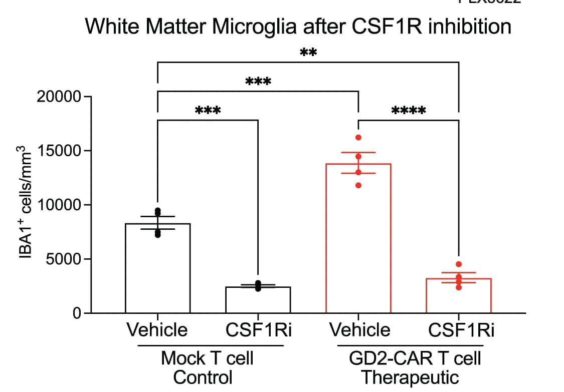 Open access visualization of Bar Plot, Error Bars, DIPG, Xenografted Mice, Corpus Callosum