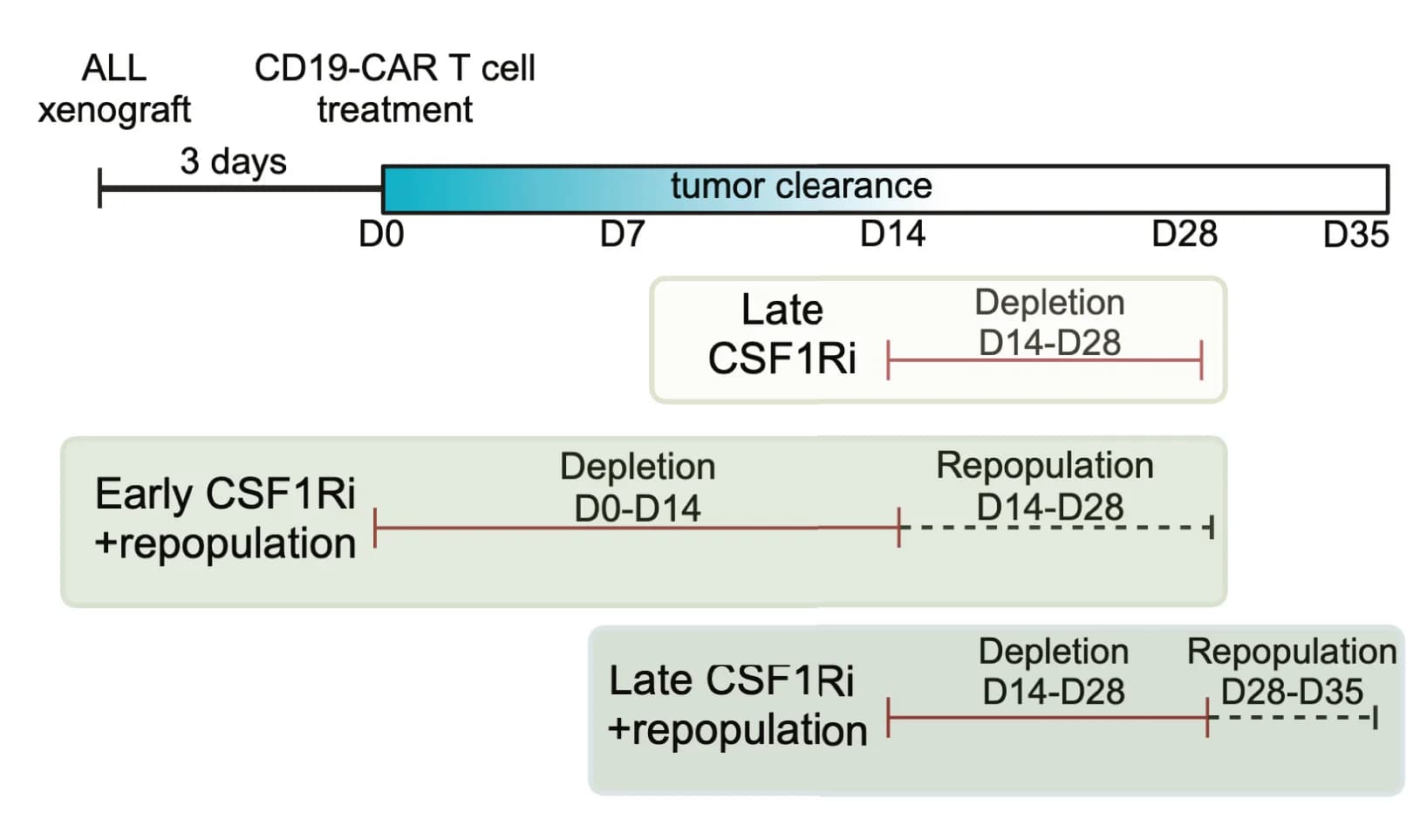 Open access visualization of Workflow, ALL Model, CSF1Ri, PLX5622, Microglia