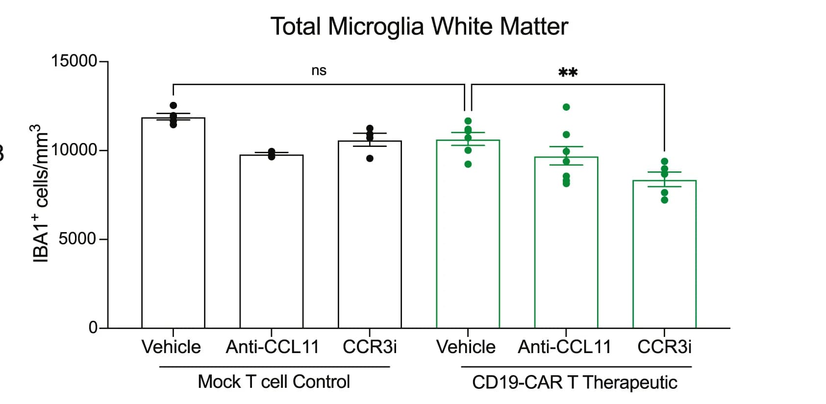 Open access visualization of Bar Plot, Scatter Plot, Error Bars, ALL-Xenografted Mice, Corpus Callosum