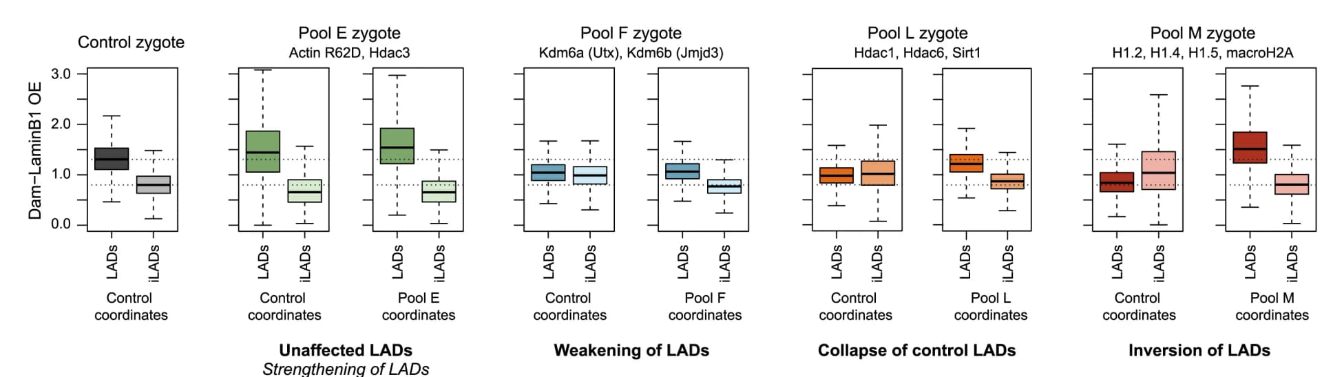 Open access visualization of Box Plot, Dam-LaminB1, Lamin Associated Domain, Boxplot