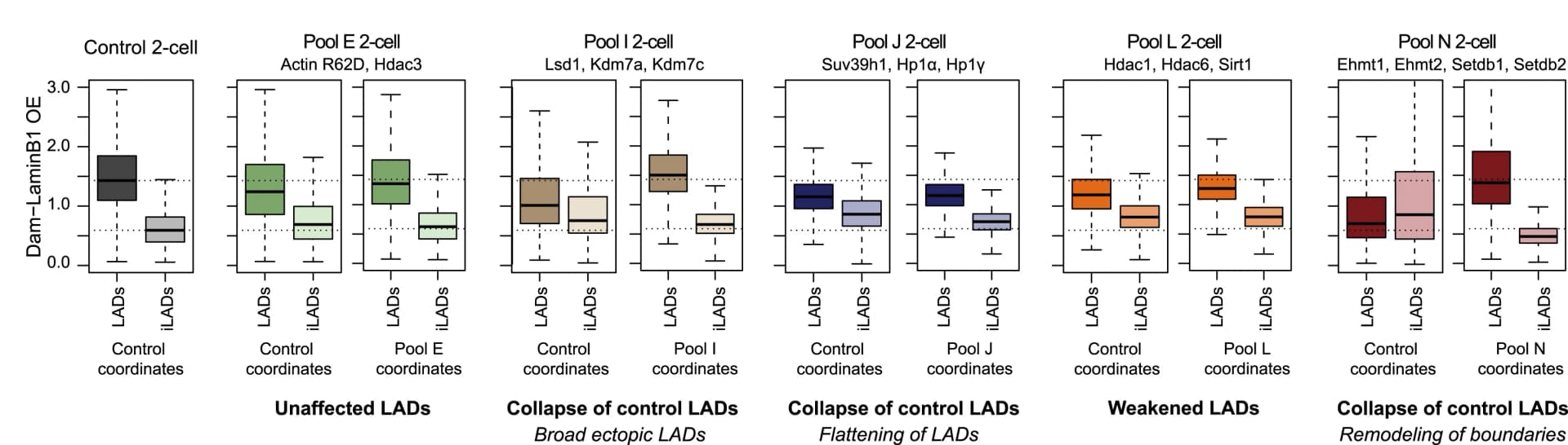 Open access visualization of Box Plot, Dam-LaminB1 OE, Control LADs, De Novo LADs, iLADs