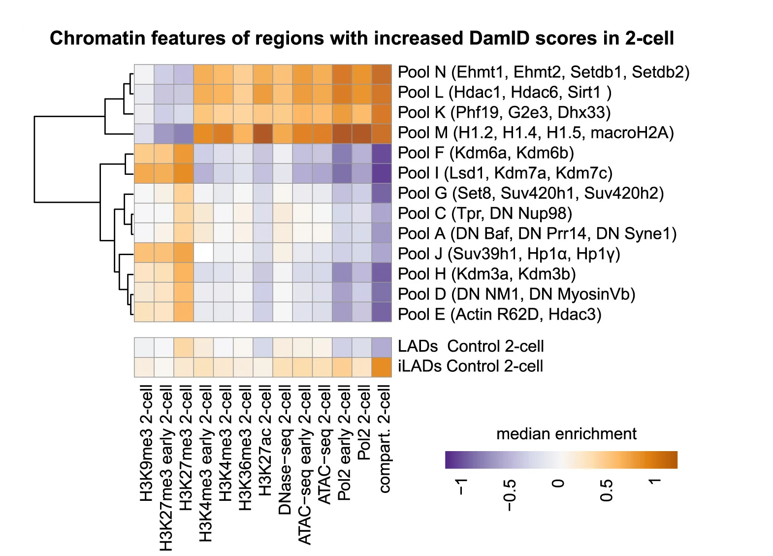 Open access visualization of Heatmap, Clustered, Chromatin Features, Genomic Regions, LADs