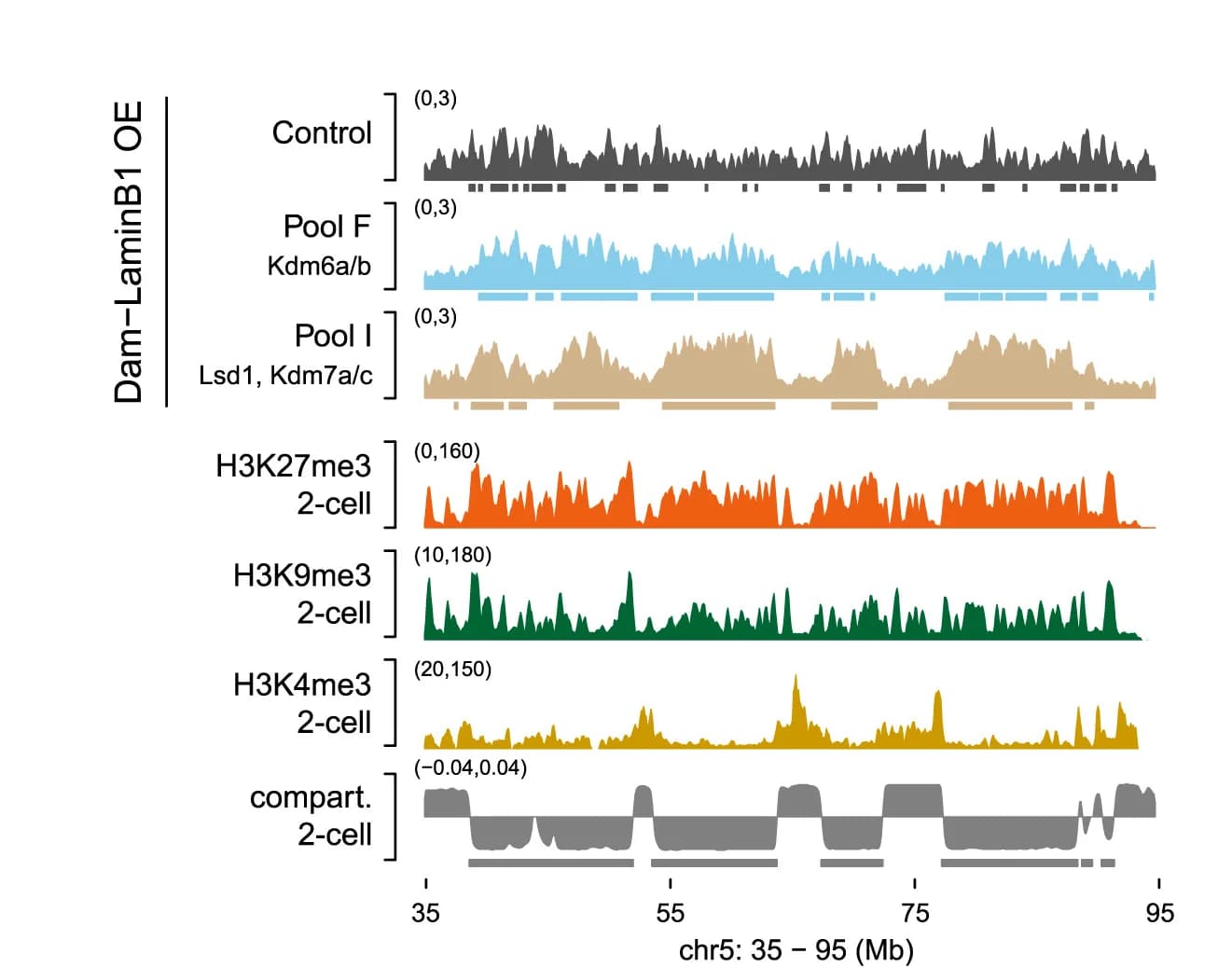Open access visualization of Line Plot, Dam-LaminB1, OE Value, Histone Modification, Compartment Score