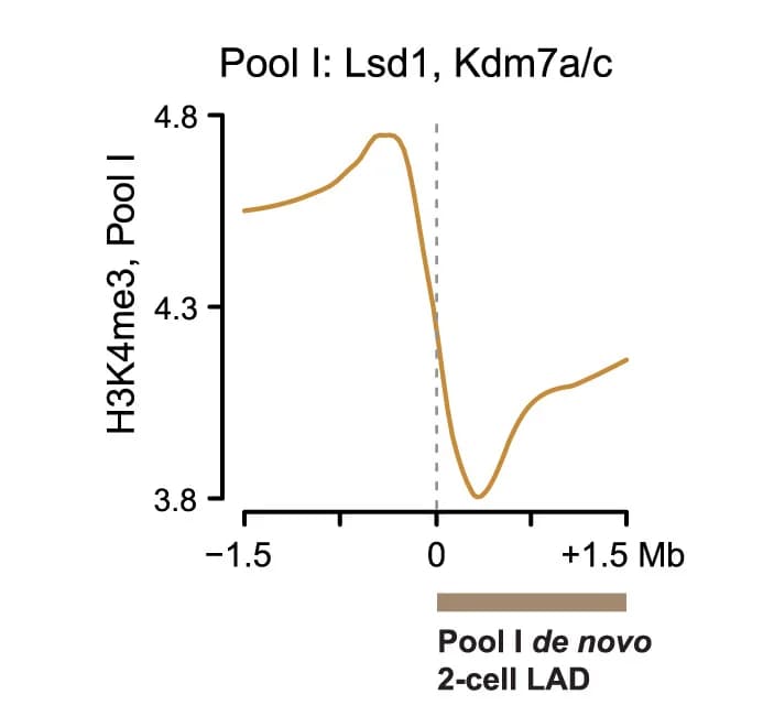 Open access visualization of Line Plot, H3K4me3, LAD Boundaries, 2-Cell Stage Embryos