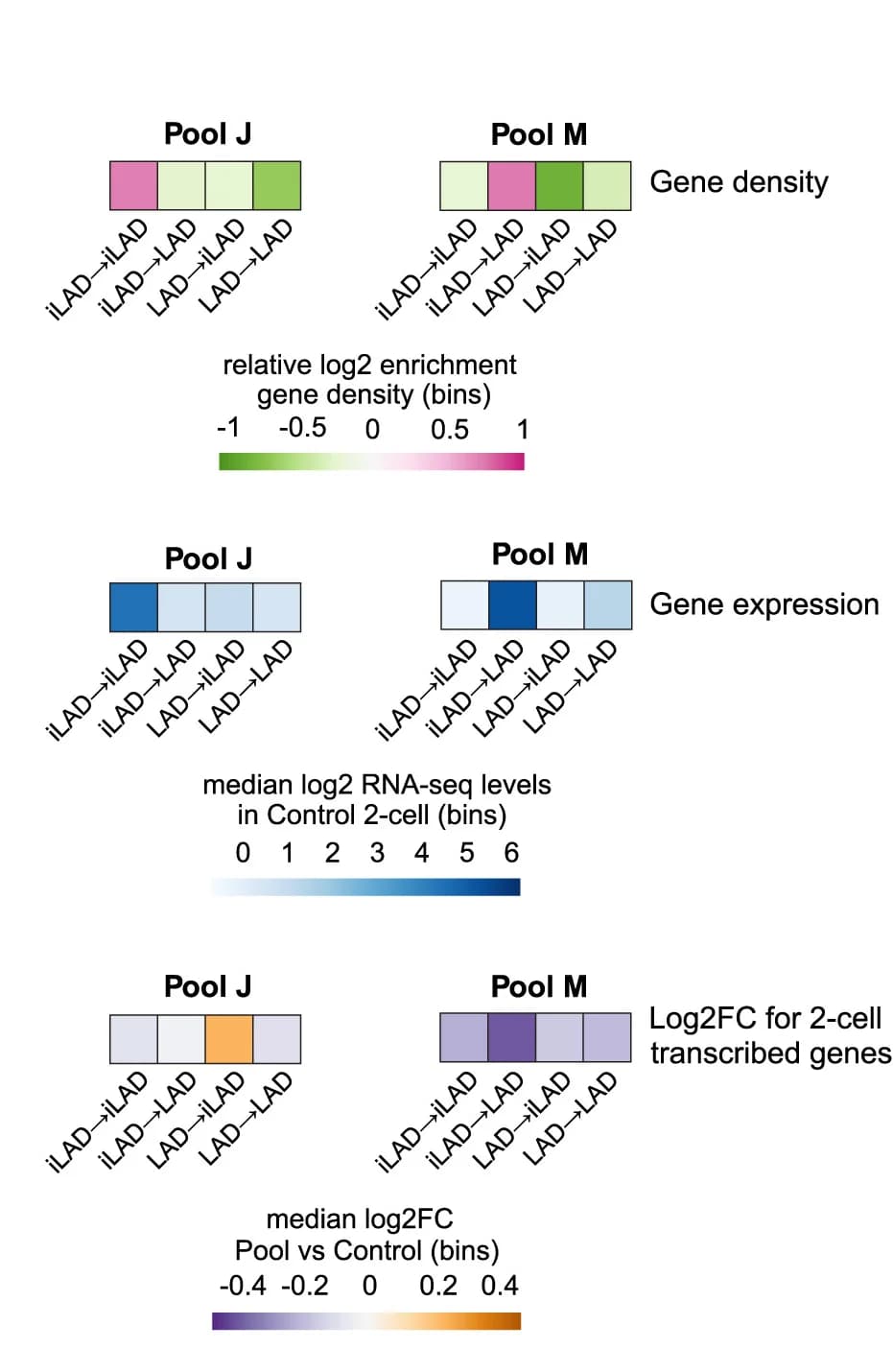 Open access visualization of Heatmap, Gene Density, RNA-Seq, 2-Cell Embryos, Gene Expression
