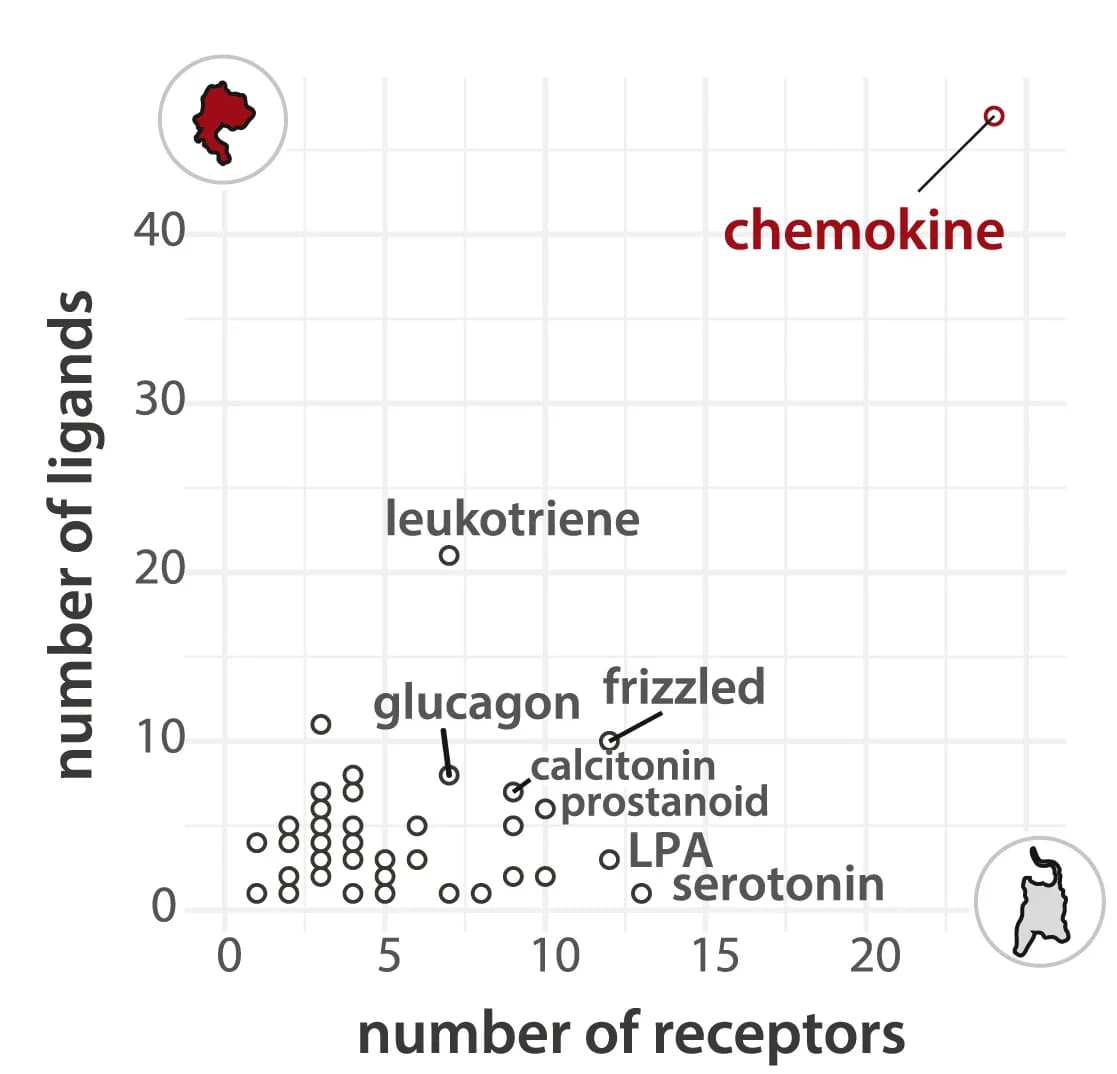 Open access visualization of Scatter Plot, GPCR Ligands, Receptors, Family