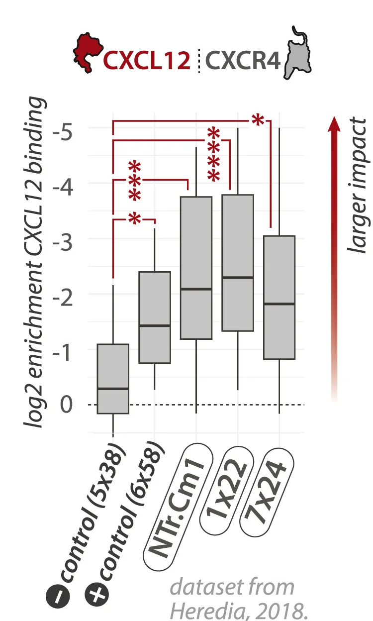 Open access visualization of Box Plot, CXCR4 Mutagenesis, CXCL12 Binding, Log2enrichment Scores, CXCL12-GFP