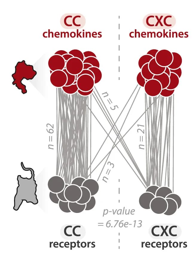 Open access visualization of Network, Sankey, Chemokines, GPCRs, Chi-squared Test
