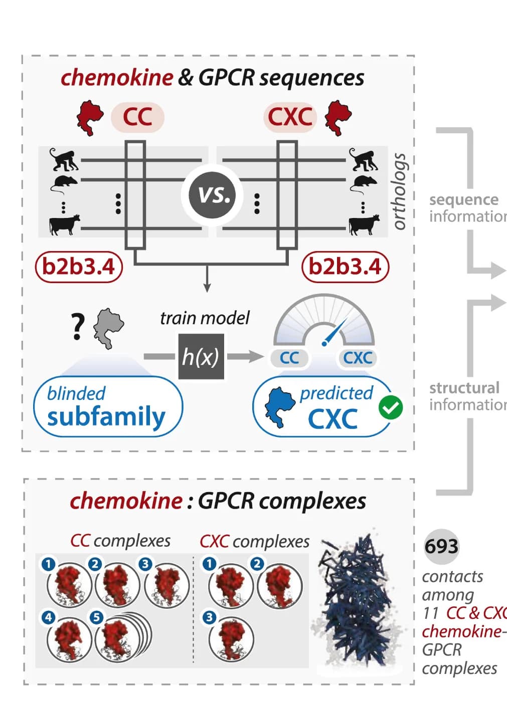 Open access visualization of Workflow, Illustration, Logistic Regression, CC Chemokines, CXC Chemokines