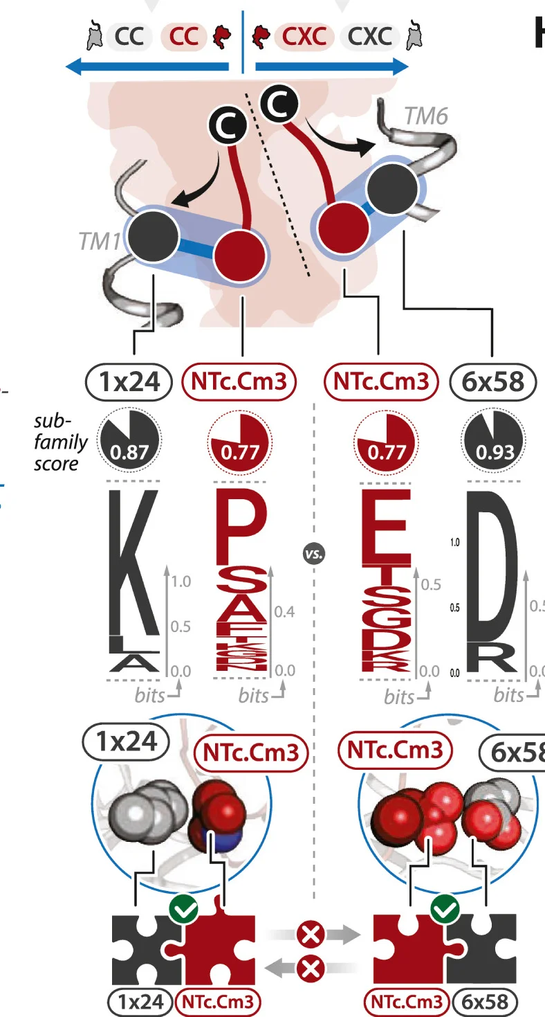 Open access visualization of Illustration, Pie Chart, Workflow, CC-Specific Contacts, CXC-Specific Contacts