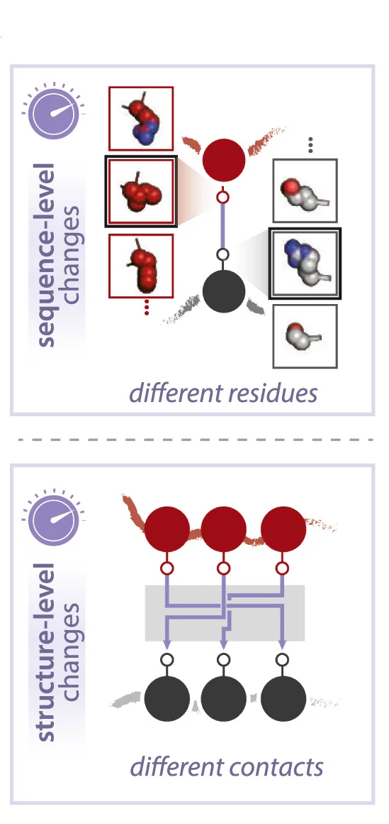 Open access visualization of Workflow, Illustration, Structure-Level Changes, Sequence-Level Changes, Contacts