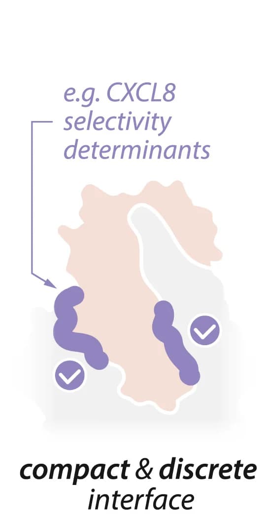 Open access visualization of Illustration, Selectivity Preferences, Interface Regions