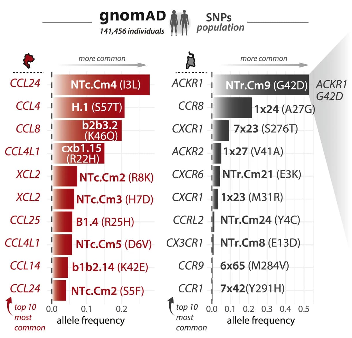 Open access visualization of Bar Plot, Chemokine Variants, Receptor Variants, Interface Positions, gnomAD
