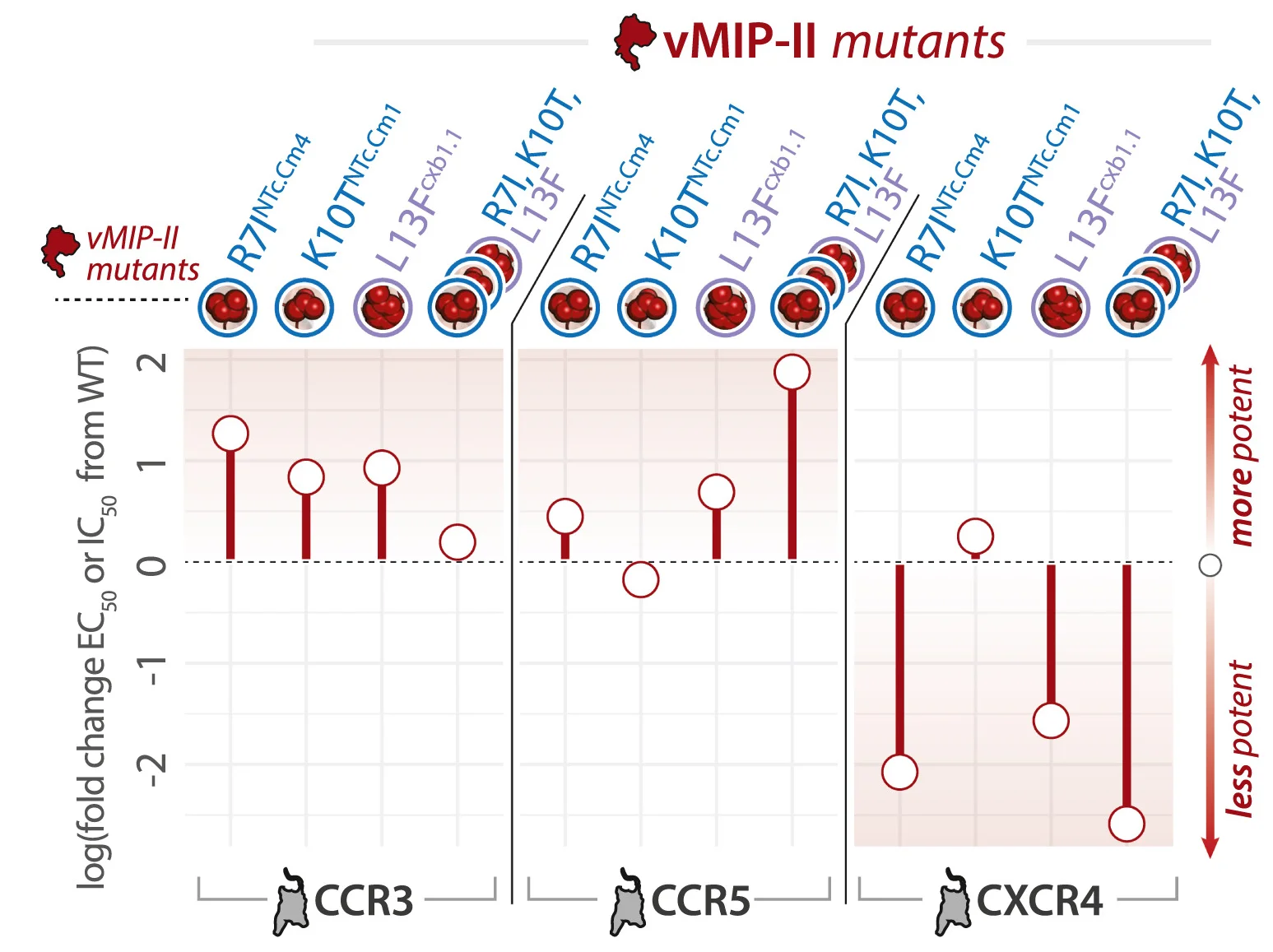 Open access visualization of Bar Plot, Error Bars, IC50, EC50, vMIP-II