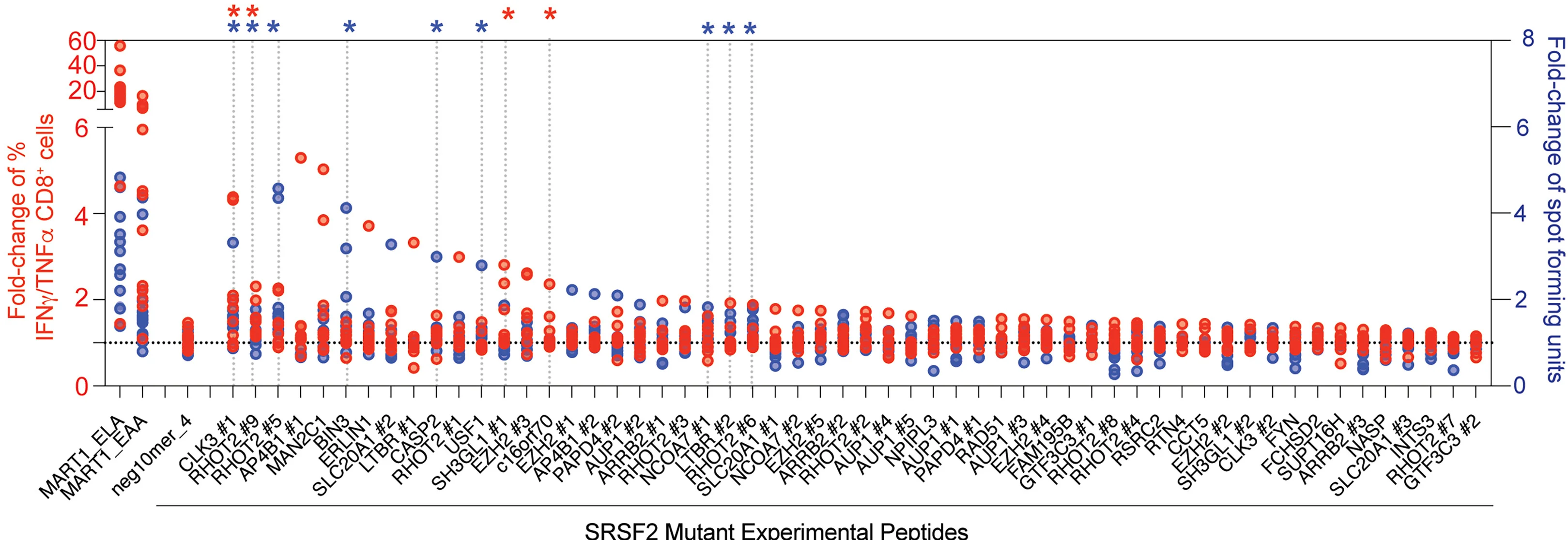 Open access visualization of Scatter Plot, IFN-γ, TNF-α, CD8+ T Cells, Peptide Re-stimulation