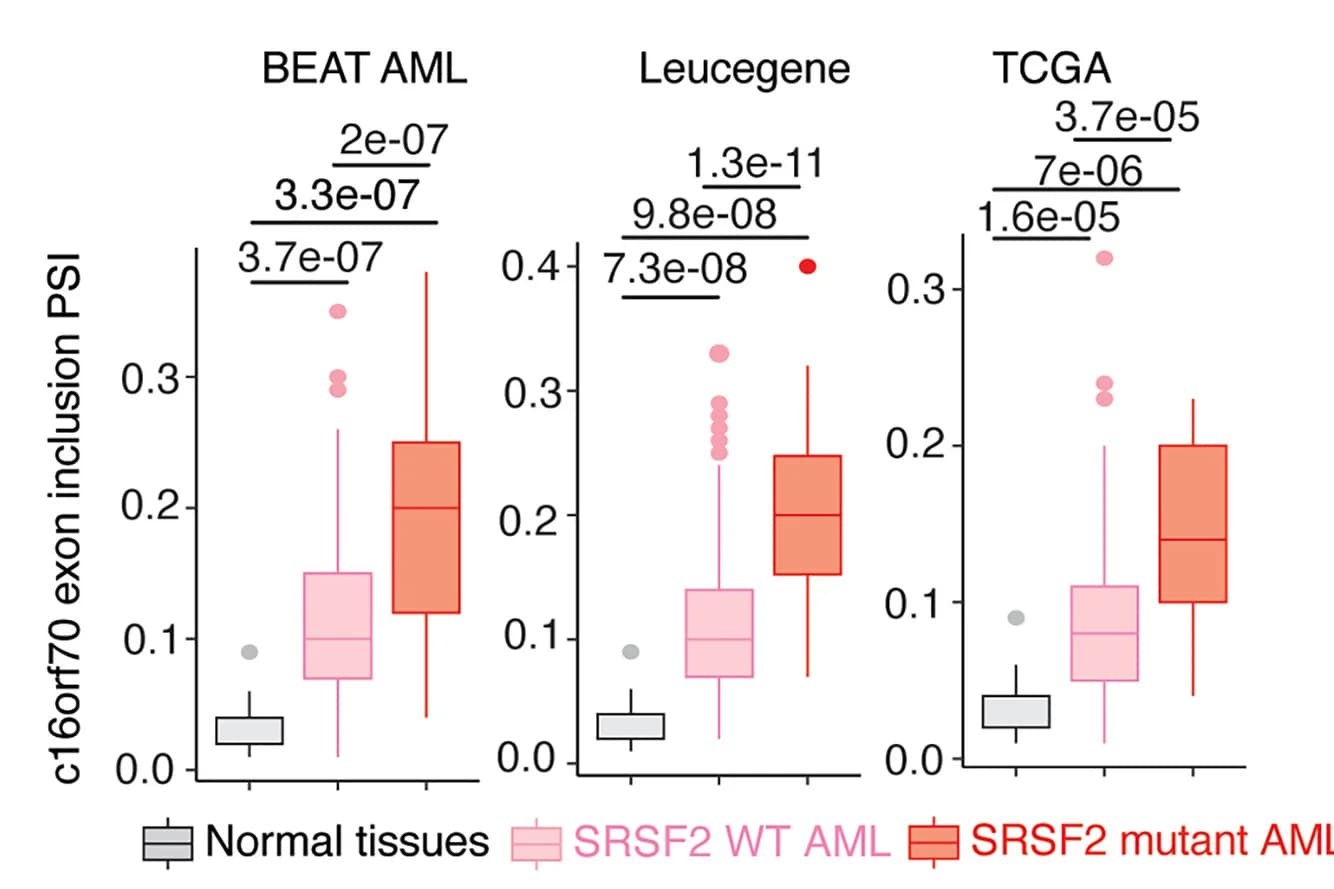 Box Plot Mastery for Clinical Research: Publication-Quality Examples from Leading Medical Studies