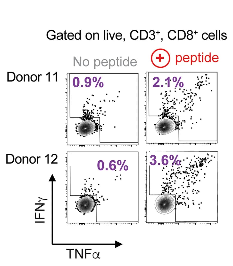 Open access visualization of Scatter Plot, ICS, FACS Plots, Healthy Donors