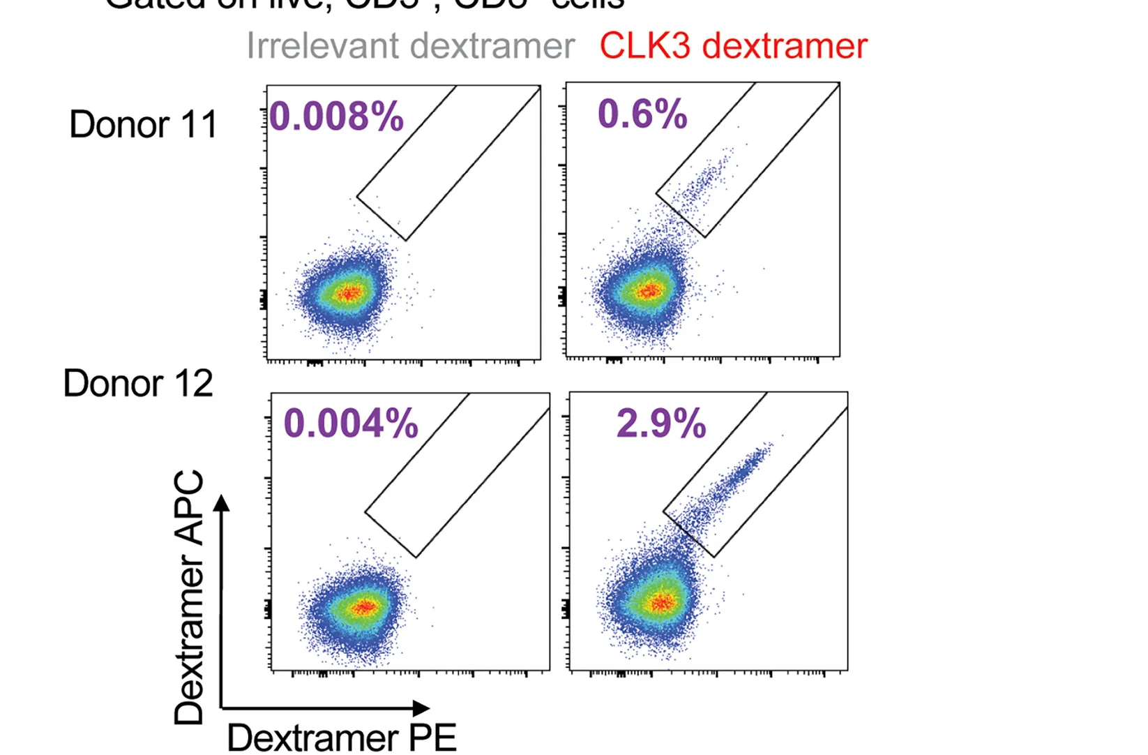 Open access visualization of Scatter Plot, FACS Plots, CLK3 Peptide, CD8+ T Cells, HLA-A*02:01 Dextramers