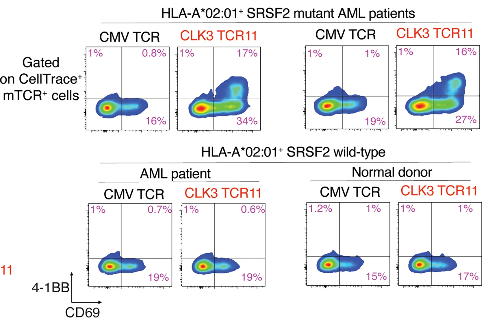 Open access visualization of Scatter Plot, Density Plot, CD69 Expression, 4-1BB Expression, CLK3 TCR-T Cells