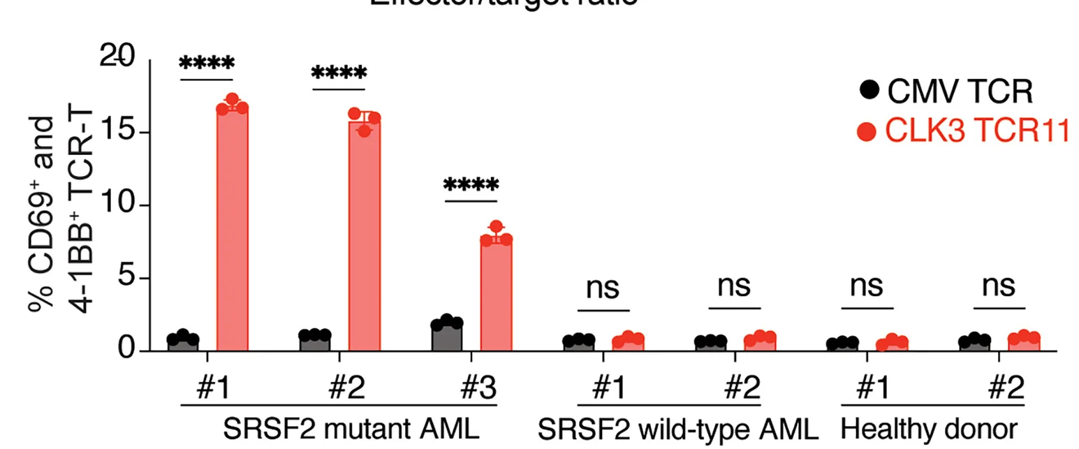 Open access visualization of Bar Plot, Error Bars, CD69+TCR-T Cells, 4-1BB+TCR-T Cells, Co-culture