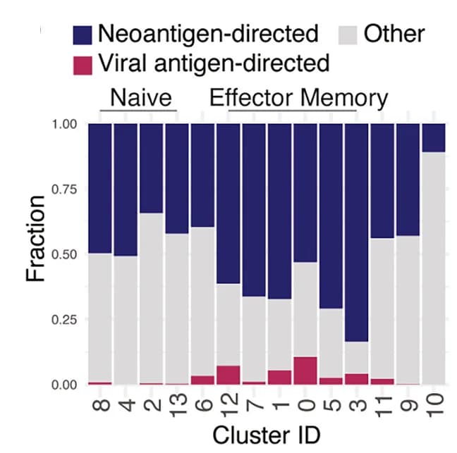 Open access visualization of Stacked Bar Plot, CD8+T Cells, Cell State Cluster, Antigen Reactivity