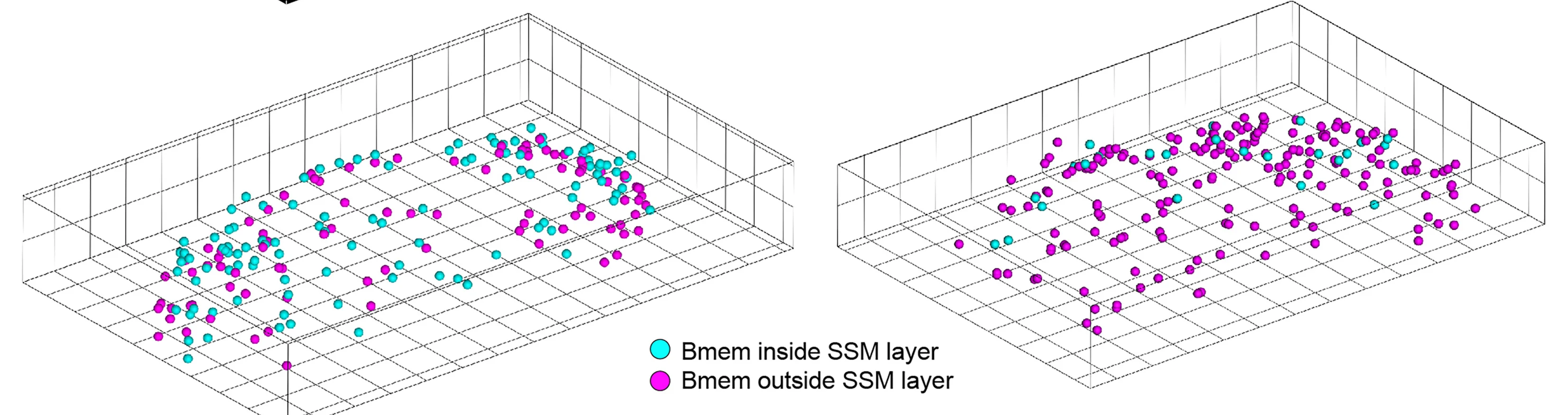 Open access visualization of 3D Plot, Image Analysis, dLN, ndLN, Bmems