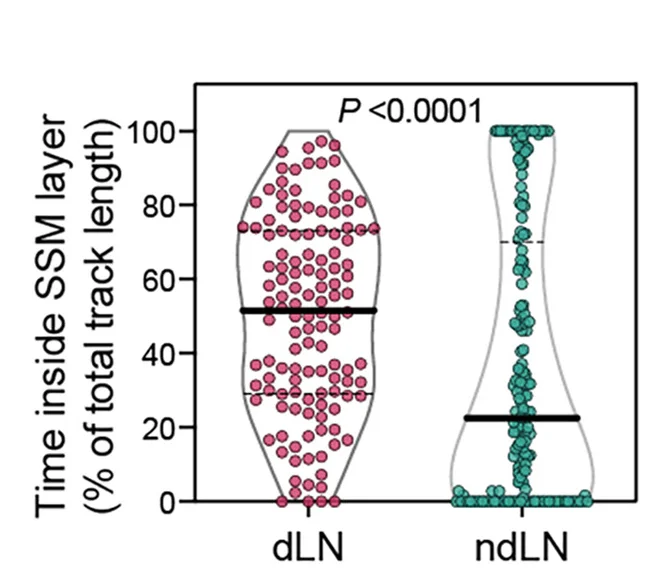 Open access visualization of Violin Plot, Scatter Plot, Time, SSM Layer, Bmems