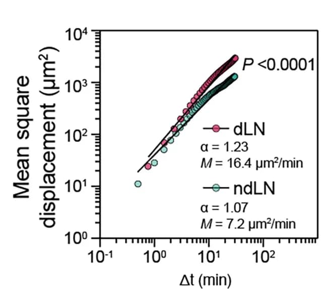 Open access visualization of Line Plot, Scatter Plot, Regression Plot, Mean Square Displacement, MSD