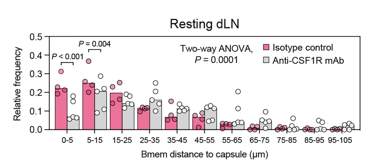Open access visualization of Bar Plot, Scatter Plot, Clustered, Frequency Distribution, Bmem