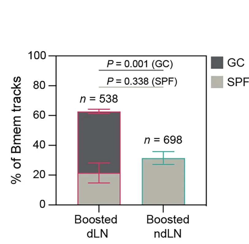 Open access visualization of Bar Plot, Error Bars, Stacked Bar Plot, Bmem, SPF