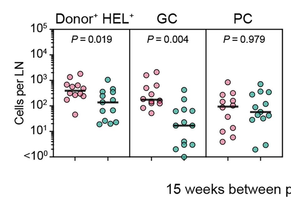 Open access visualization of Scatter Plot, B Cells, GC B Cells, PCs, dLN