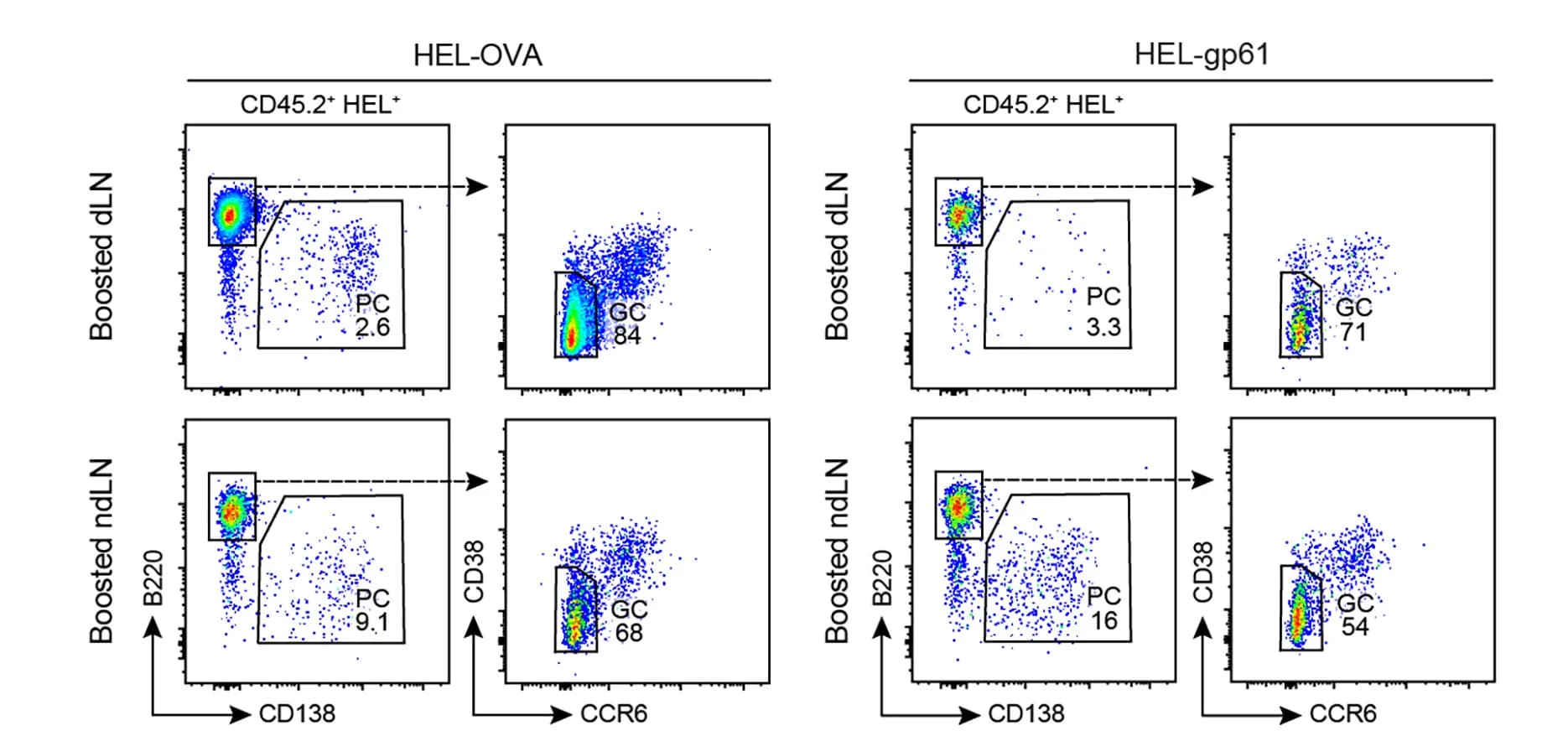 Open access visualization of Scatter Plot, Flow Cytometry, T Cell