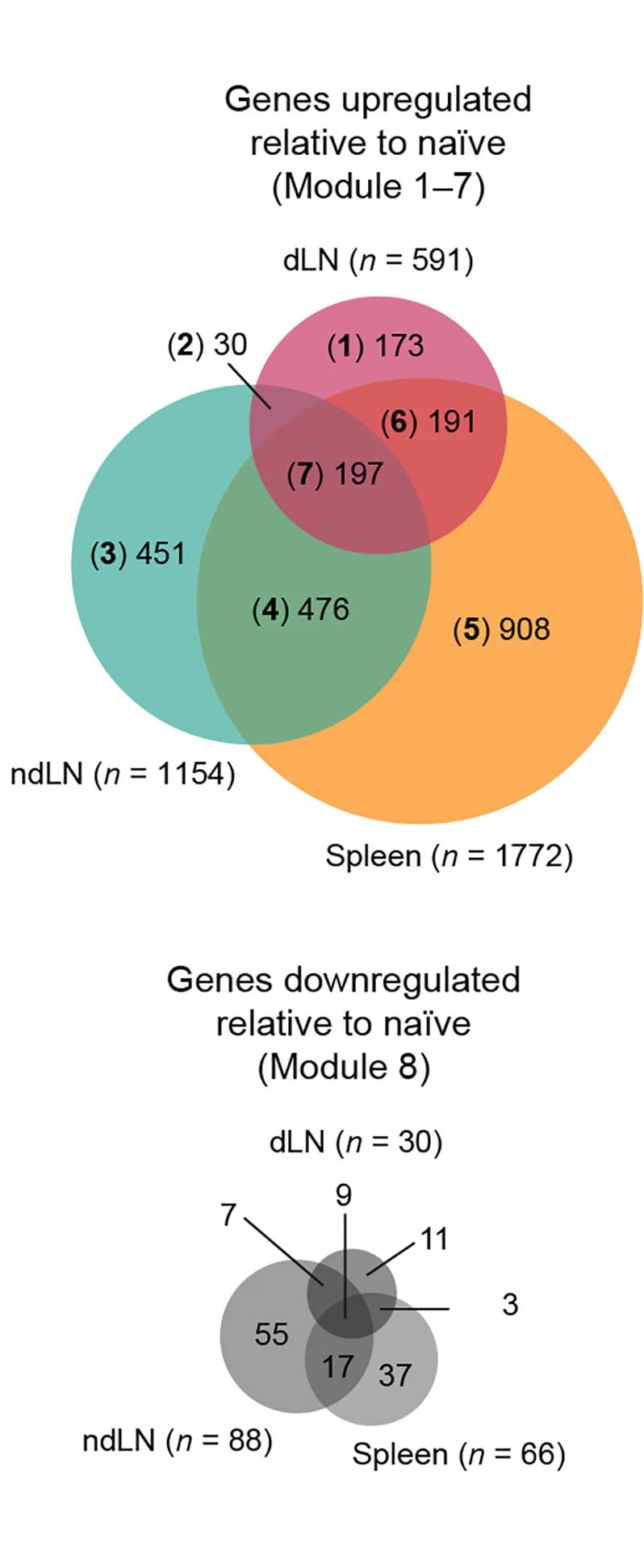 Open access visualization of Venn Diagram, Gene Overlap, Upregulated Genes, Downregulated Genes, Lymph Nodes