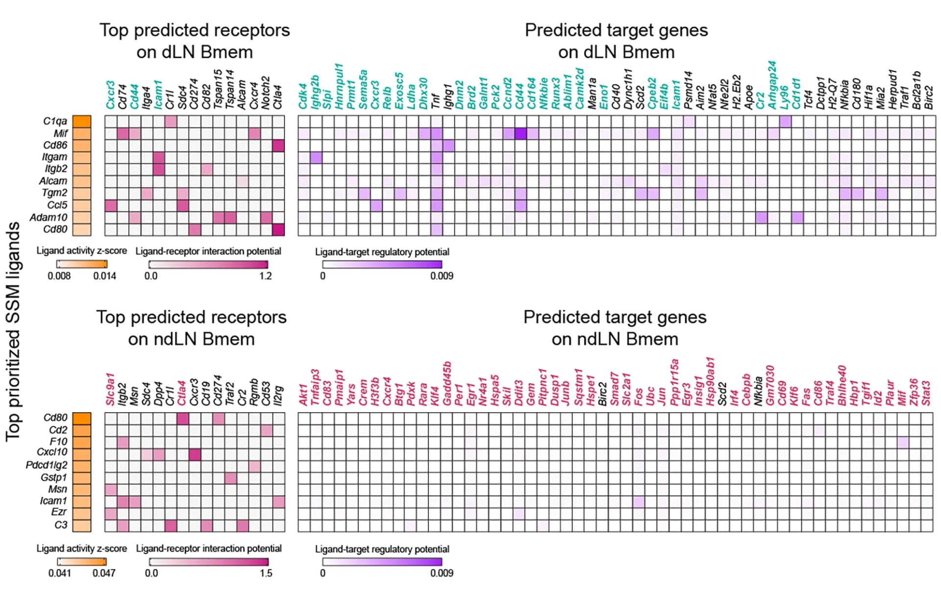 Open access visualization of Heatmap, Receptor-Ligand Pairs, Interaction Potential, SSMs, Bmem Cells