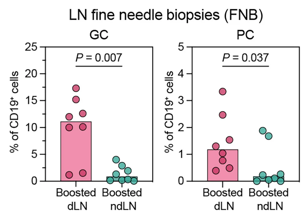 Open access visualization of Bar Plot, Scatter Plot, GC B Cells, PCs, FNB