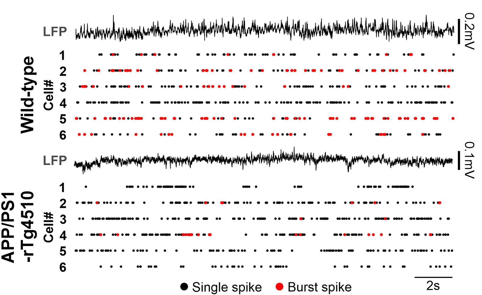 Open access visualization of Line Plot, Scatter Plot, LFP Activity, CA1 Neurons, Spike Raster
