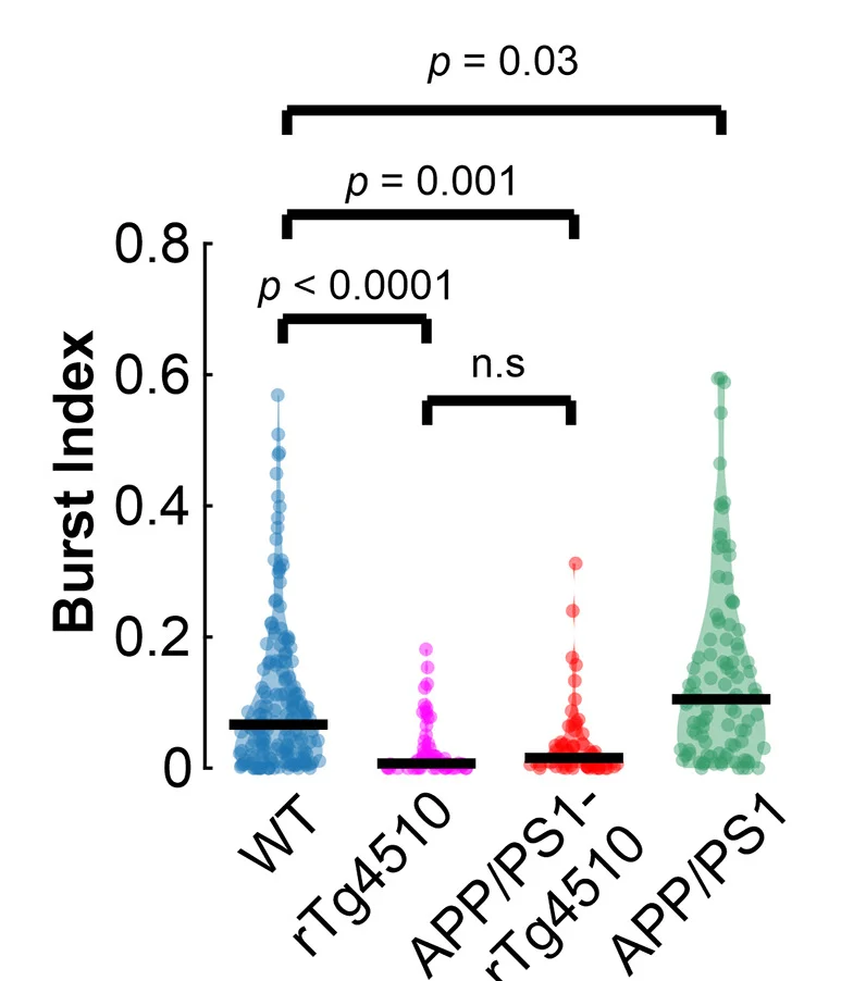 Open access visualization of Violin Plot, Burst Index, rTg4510 Neurons, APP/PS1-rTg4510 Neurons, WT Neurons