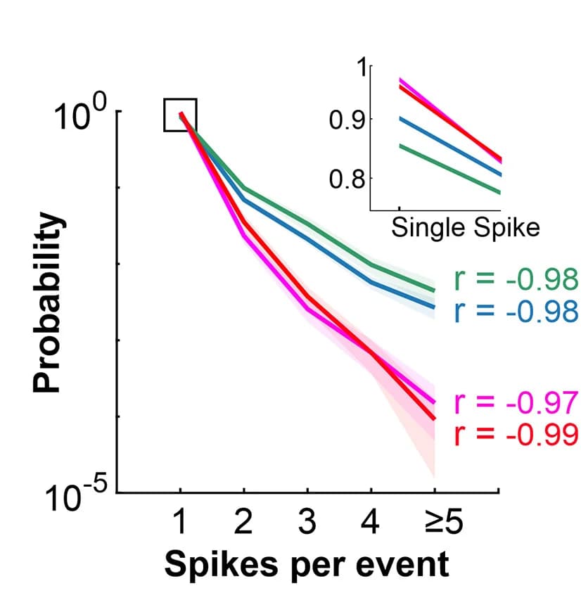 Open access visualization of Line Plot, Error Bars, Single Spikes, Burst Event, WT Mice