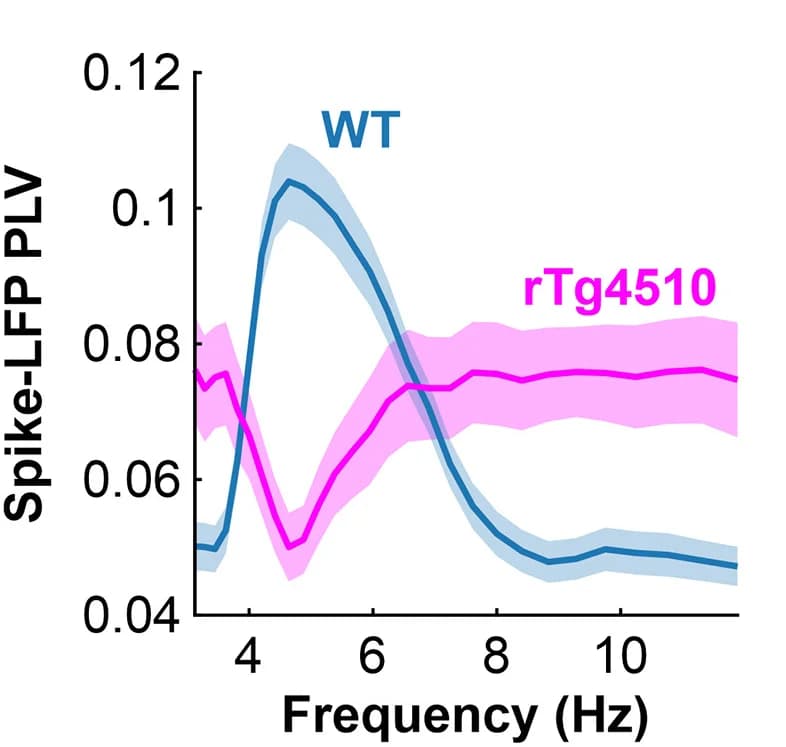 Open access visualization of Line Plot, Error Bars, Spike-LFP PLV, Theta Frequencies, rTg4510 Neurons