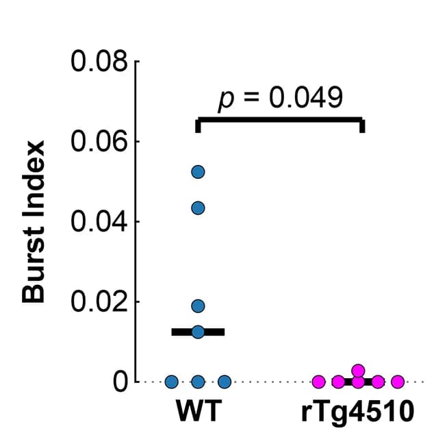 Open access visualization of Scatter Plot, Bursting Index, rTg4510 Mouse, WT Mouse, Wilcoxon Rank-Sum Test