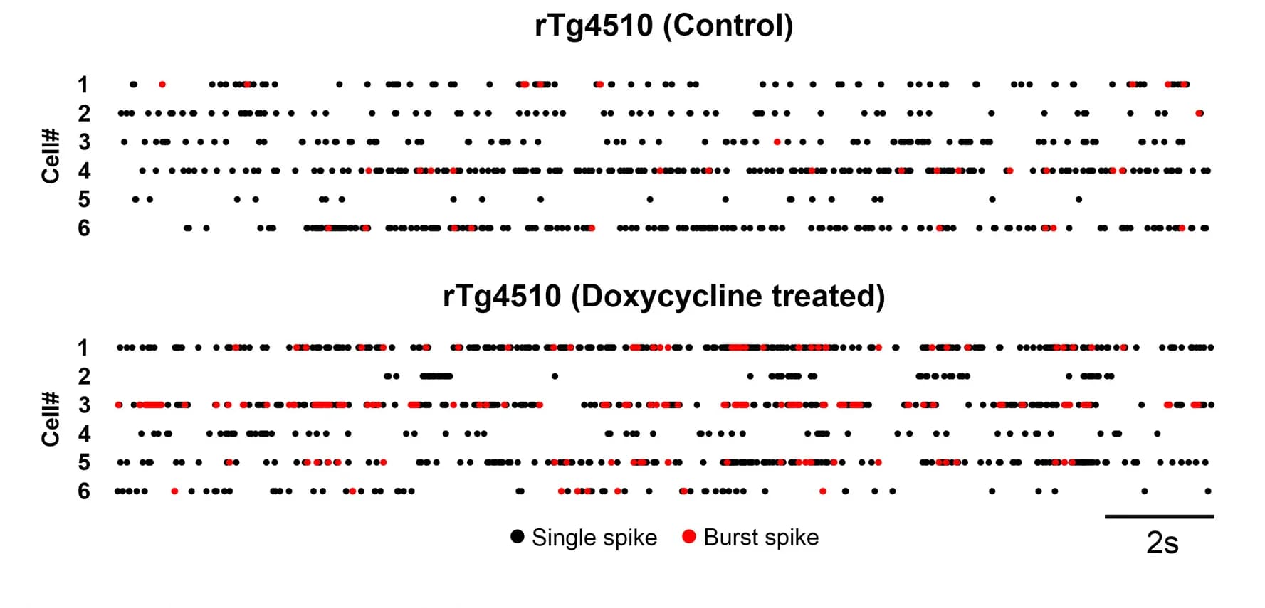 Open access visualization of Scatter Plot, Neuronal Spiking Activity, CA1 Neurons, Single Spikes, Burst-Related Spikes