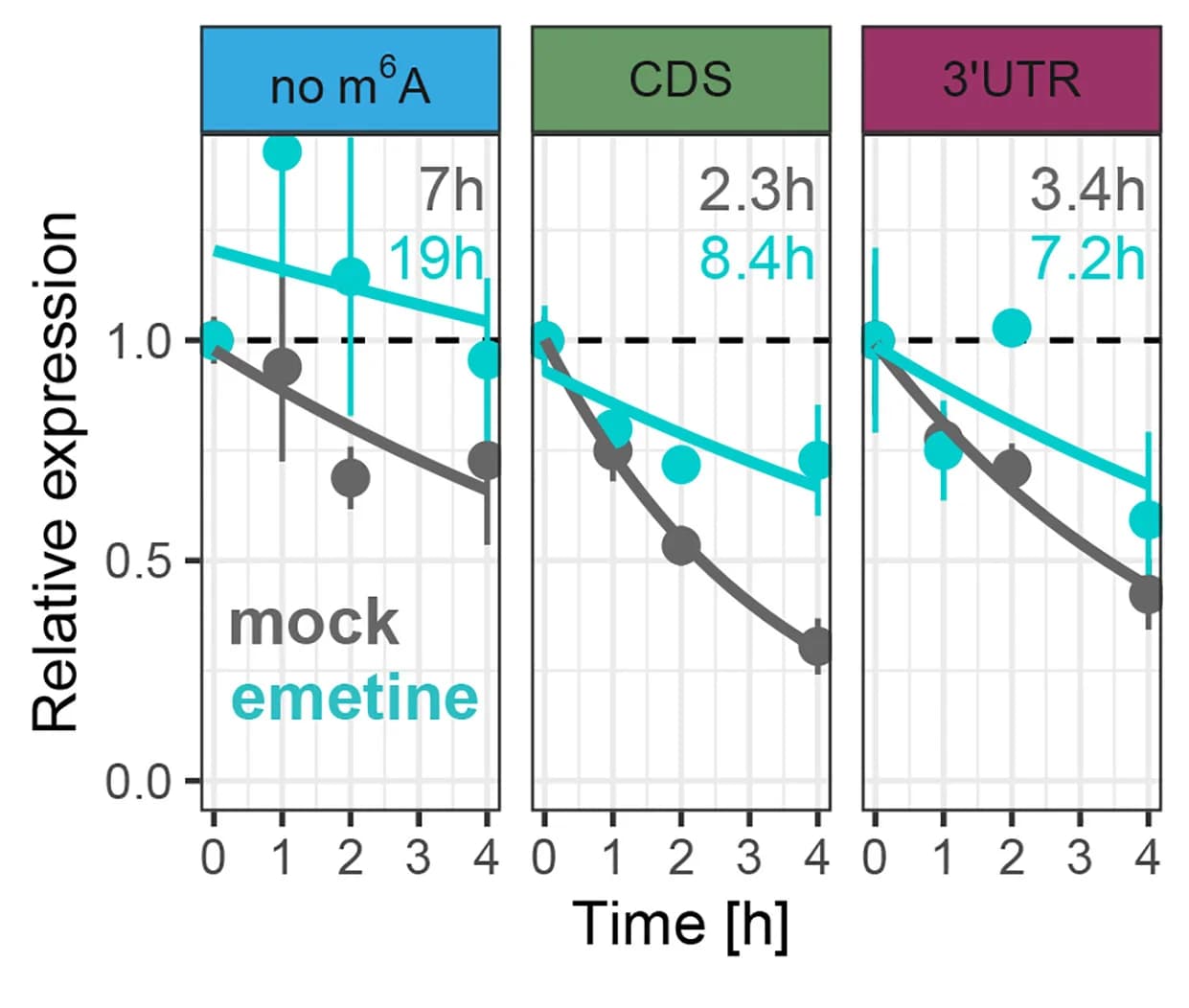 Open access visualization of Line Plot, Error Bars, Reporter mRNA, m6A DRACH, CDS